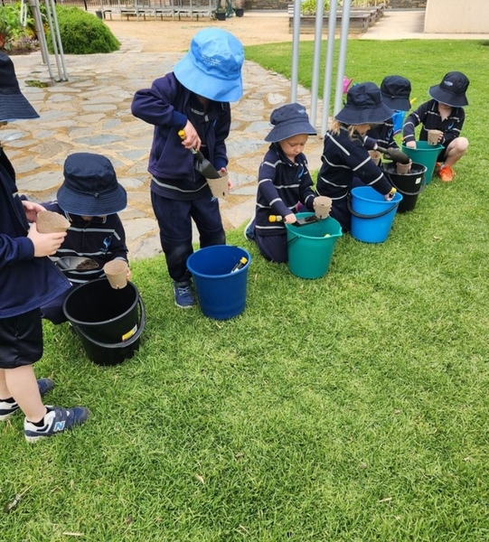Screenshot_20231101_211337_Seesaw
