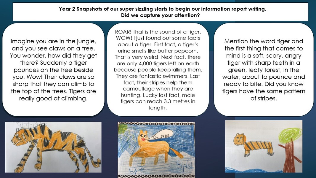 Slide3